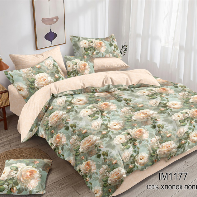 IM1177-2